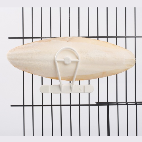 Cuttlefish Holder White Plastic