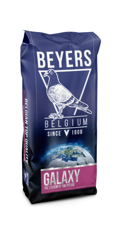 Beyers Galaxy Breeding