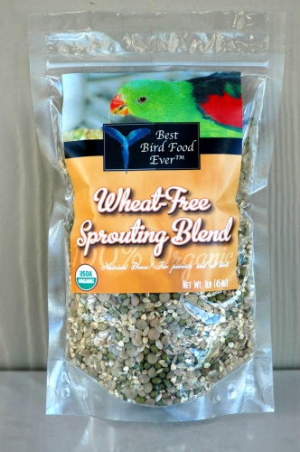 Best Bird Food Ever Complete Sprouting Kit - Wheat Free Blend