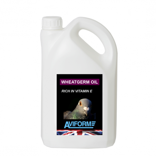 Aviform Wheatgerm Oil (Pure)