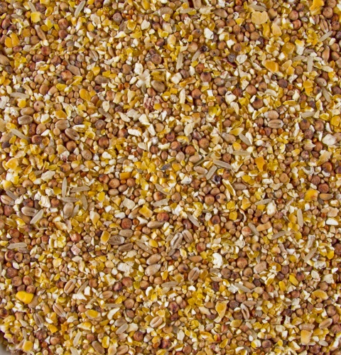 Deli Nature Chix Grain Mix (Fine)