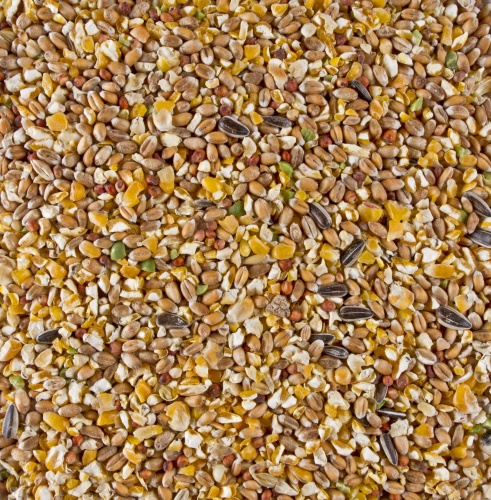 Deli Nature Chix Grain Mix (with Broken Maize)