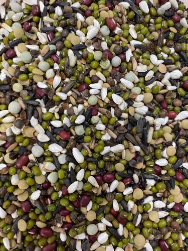 Deluxe Parrot & Parakeet Sprouting Mix