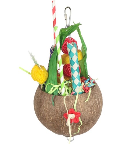 Pina Colada Coconut Toy