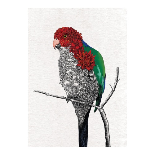 Australian King Parrot Cotton Tea Towel 50x70cm