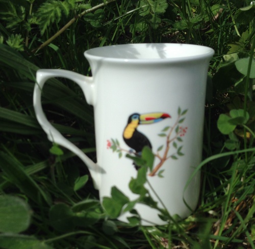 Toucan Mug