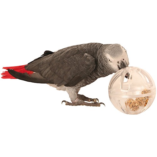 Buffet Ball Parrot Foraging Toy