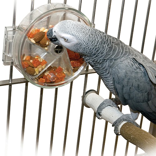parrot supplies
