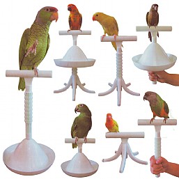 The Percher : Portable Parrot Training Perch