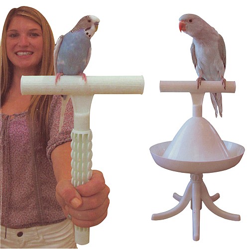 The Percher : Portable Parrot Training Perch