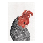 Gang Gang Cockatoo Cotton Tea Towel 50x70cm