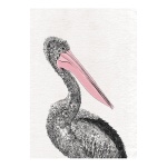 Pelican Cotton Tea Towel 50x70cm