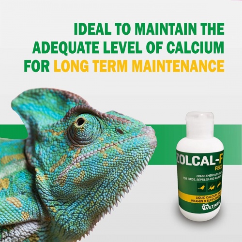 Vetark Zolcal-F (Feed) Calcium Supplement